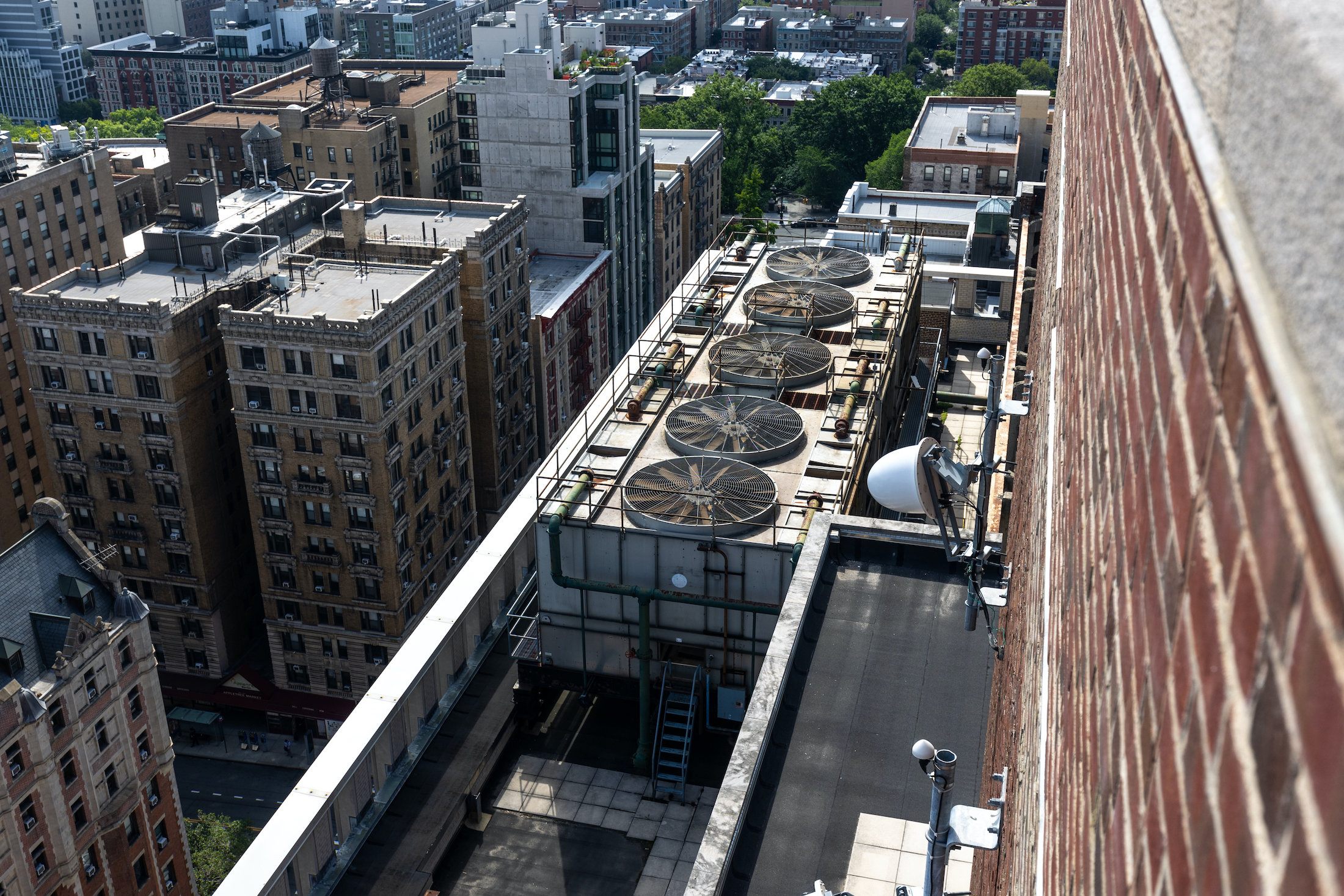 s1-lg1_roof.jpg