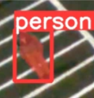 detected person.png