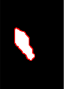 detected person outline.png
