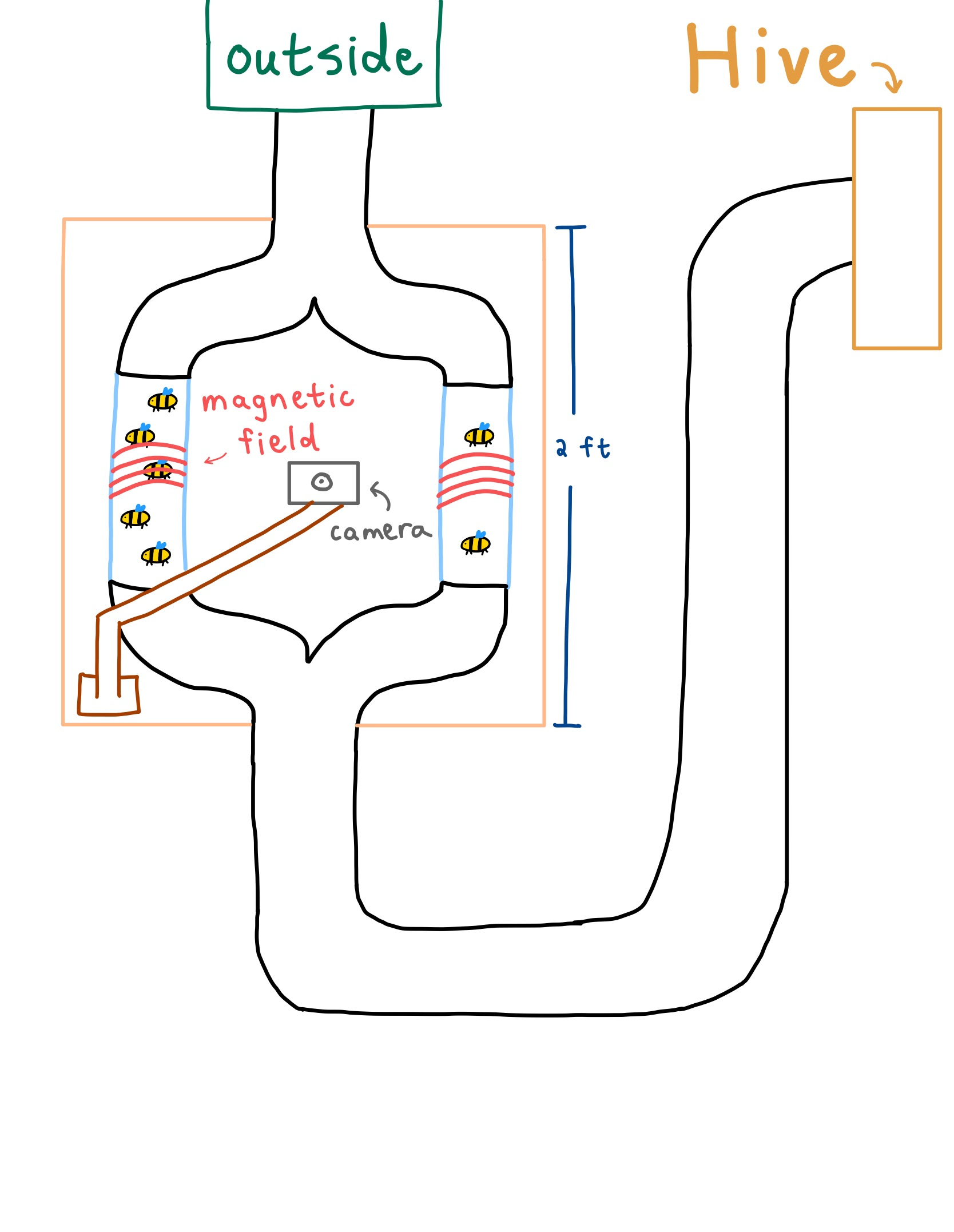 experiment diagram.png