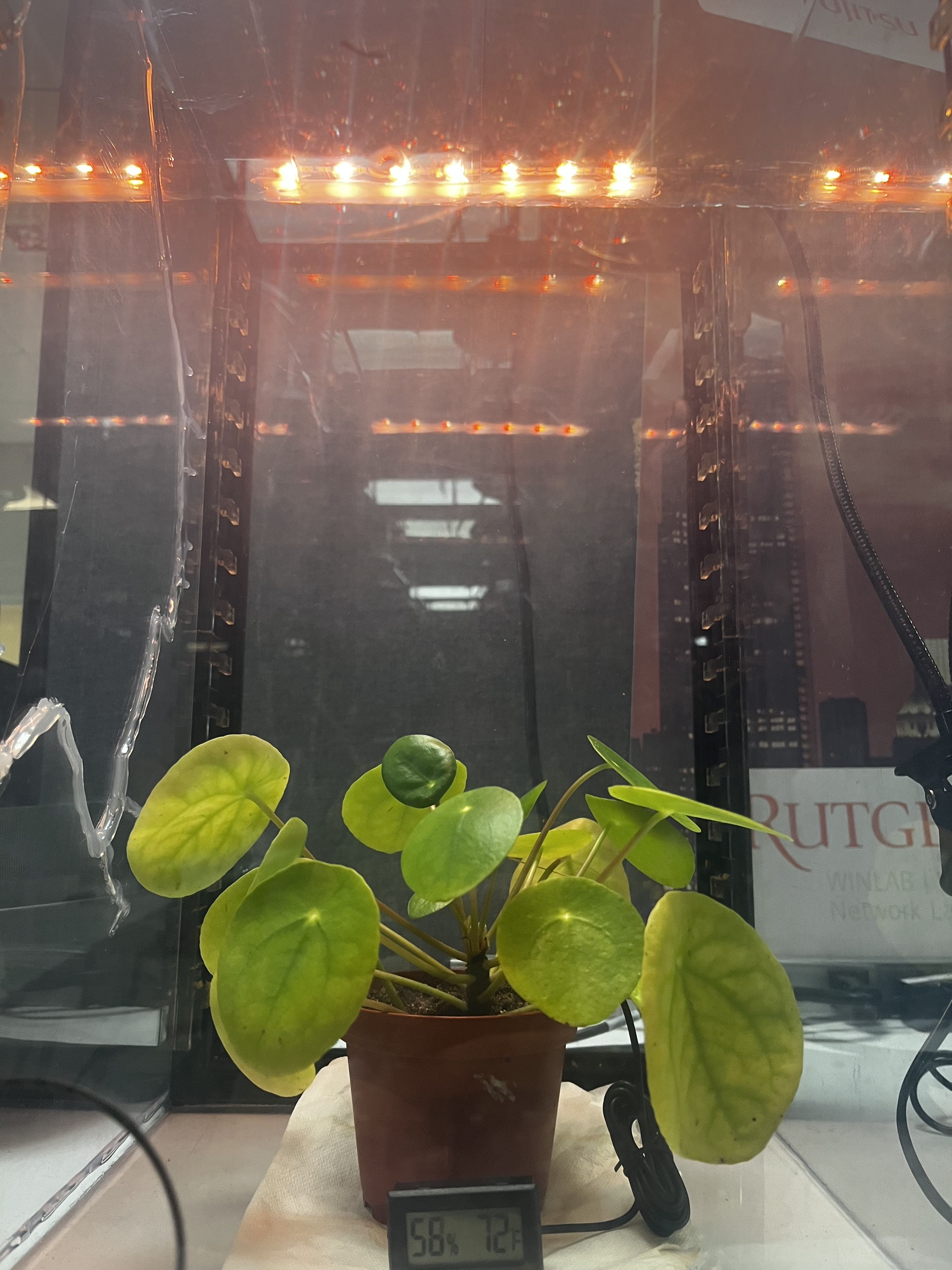 Plant Chamber.png