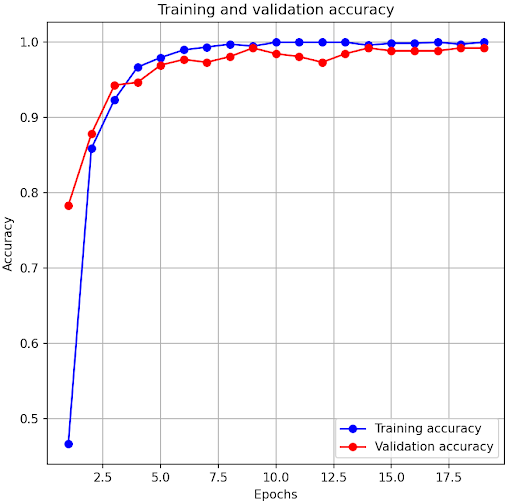 Week_8_Train_Graph.png