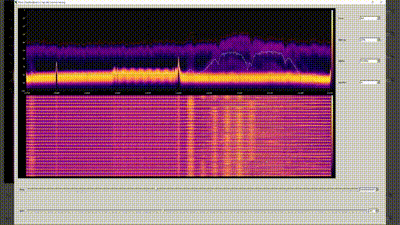 wifi week 4.gif