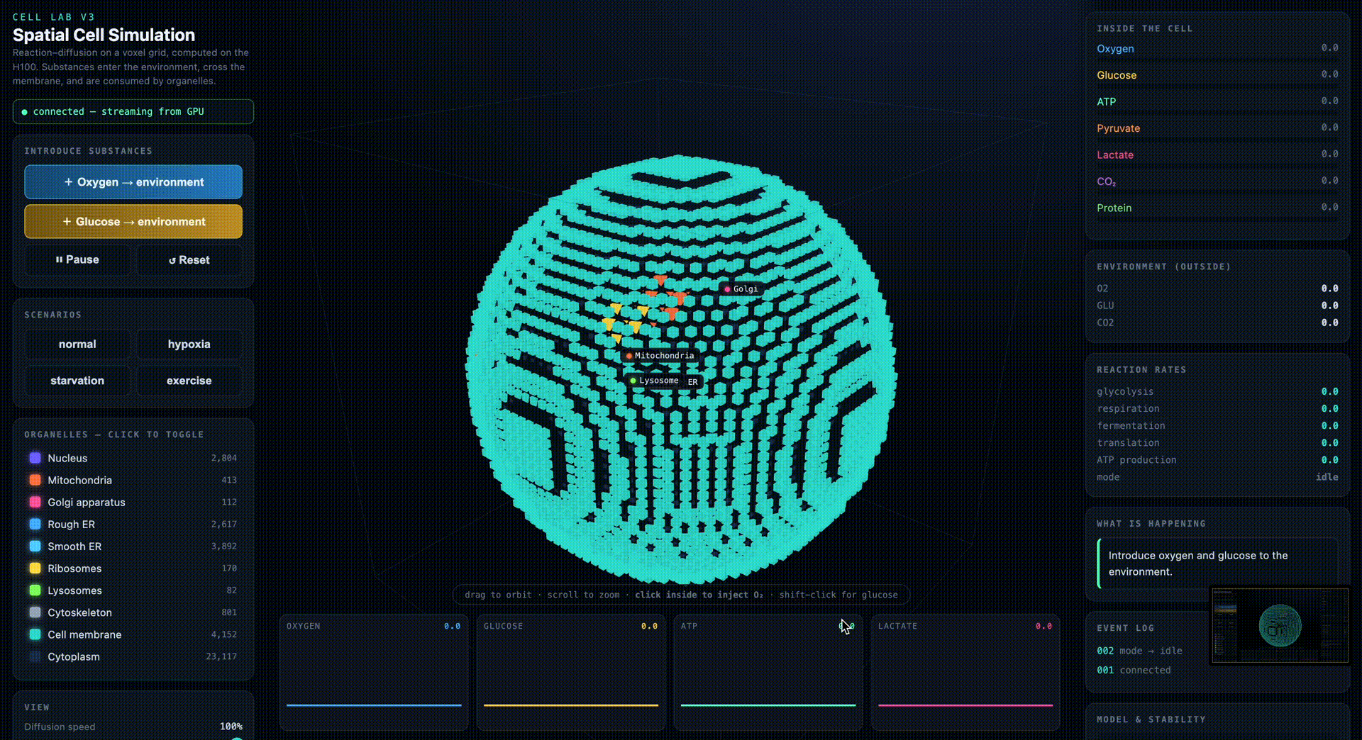 voxeldemo.gif